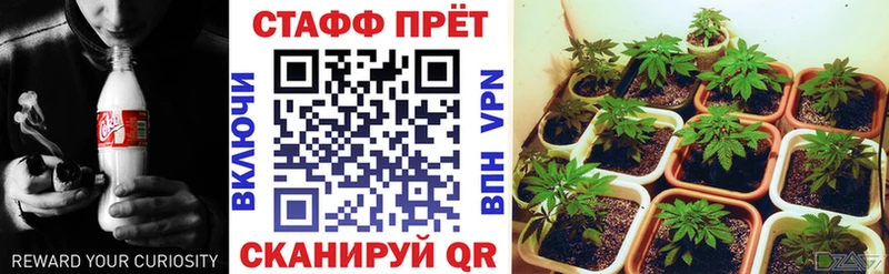 Продажа наркотиков Кемь A PVP  Марихуана  Мефедрон  Гашиш 