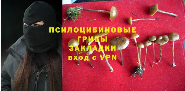 мдма Бородино