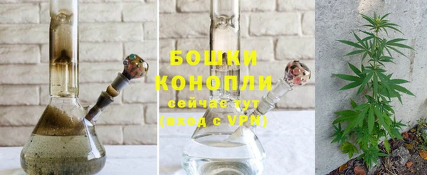 ГАЛЛЮЦИНОГЕННЫЕ ГРИБЫ Бронницы