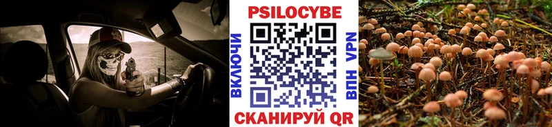 Галлюциногенные грибы мухоморы  закладка  Кемь 